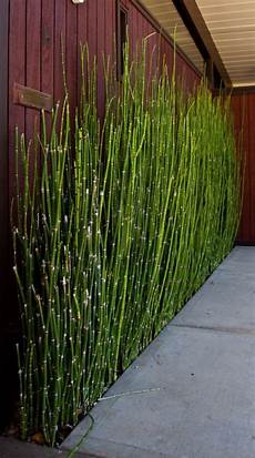 Cover Fence