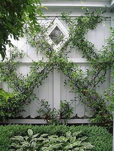 Double Wired Fence