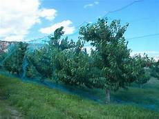 Fence Netting