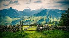 Fence With Grass