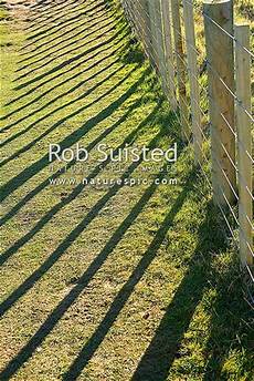 Grass Wire Fences