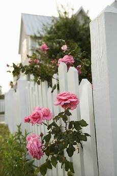 Patterned Fences