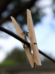 Plastic Fences