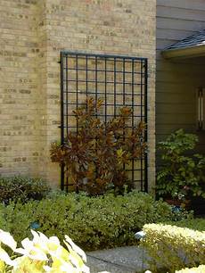 Safety Fence