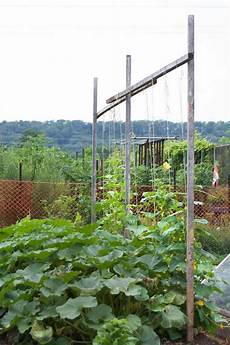 Trellis Fence