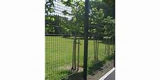 Weld Mesh Fence