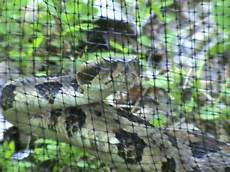 Wire Fence Systems